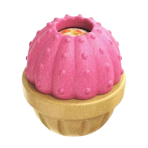 Durable Fillable Dog Chew Bone-Cactus