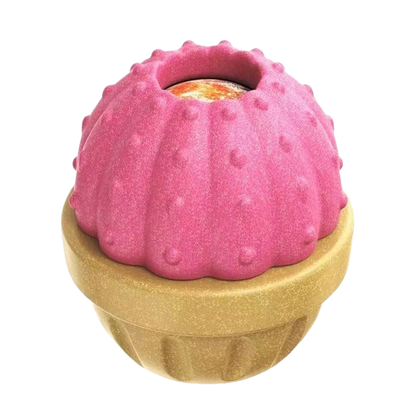 Durable Fillable Dog Chew Bone-Cactus