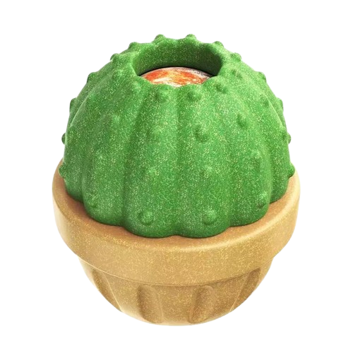 Durable Fillable Dog Chew Bone-Cactus
